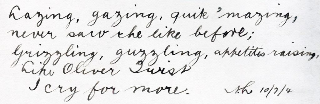 Axnfell Visitors Book (Page 002 - 01)
